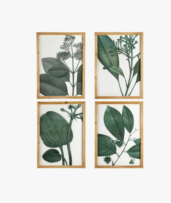 Botanical Wall Decor